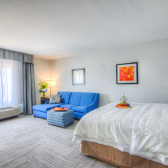Hampton Inn Houston I-10 East thumbnail 7