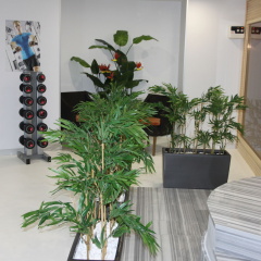 Troya Hotel - Bild 15