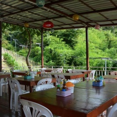 Phi Phi Jungle Hill Bungalow - Bild 1