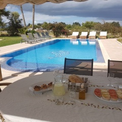 Finca Casa Maria - Bild 15