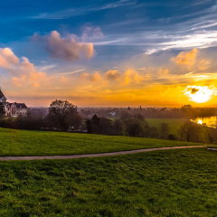 The Petersham thumbnail 14