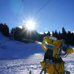 Hotel Edelweiss in Borovets, Bulgaria from 81$, photos, reviews - zenhotels.com photo 16