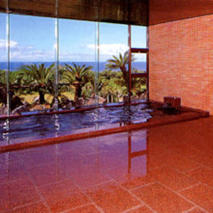 Hachijo View Hotel thumbnail 15