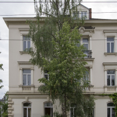 Limehome Dresden Antonstraße - Bild 1