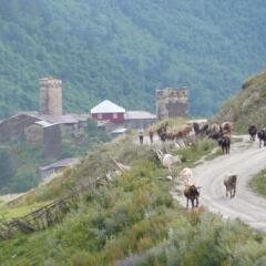 Guest House Dali in Mestia, Georgia from 10$, photos, reviews - zenhotels.com beach