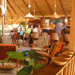 Danpaati River Lodge in Paramaribo, Suriname from 119$, photos, reviews - zenhotels.com pool photo 2