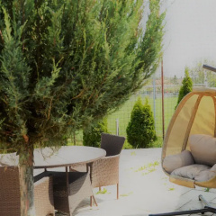 Sweet-Life Wellness Apartments thumbnail 17