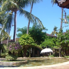 Rambutan Lovina Hotel - Bild 5