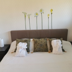 Mattiacum Serviced Suites - Bild 3