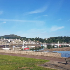 The Bridge - Y Bont - Conwy thumbnail 7