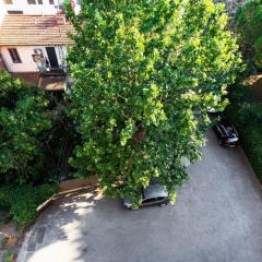 Hotel Corolle - Bild 22