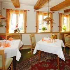 Brauner Hirsch - Bild 12