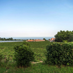 Tenuta San Michele thumbnail 19