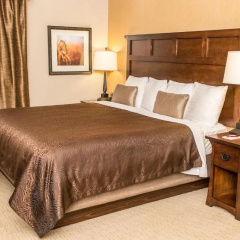 Teddy's Residential Suites New Town thumbnail 4