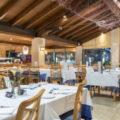Alcudiamar Marina Residence Hotel - Bild 24