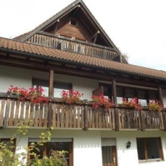 Bergseeblick - Bild 13