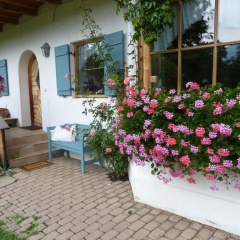 Suzannes Bed  Breakfast - Bild 4
