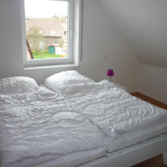 Borkumperle - Bild 2
