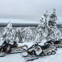 Harju-Hill