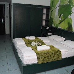 Green Hotel Budapest - Bild 4
