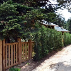 Uludag Orman Koskleri - Bild 8