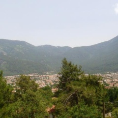 Olympia Villa photo 2