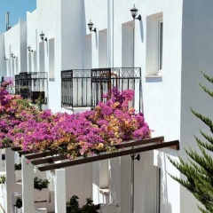 Hotel Baba - Bild 22
