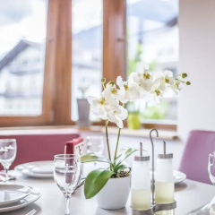 Alpis Ferienwohnung - Bild 14