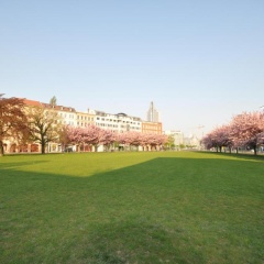 City Park Boardinghouse - #25-30 - Freundliche Apartments, Wahlweise Mit Frühstück, Im Zentrum - Bild 8