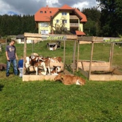 Haberjockelshof - Bild 11