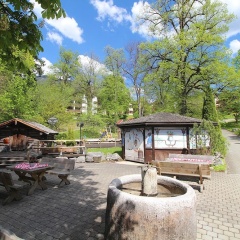Paul - Bild 9