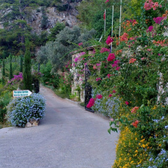 Paradise Garden Hotel - Bild 15