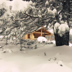 Uludag Orman Koskleri Sarialan - Bild 2