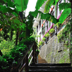 Yunzhihui Longsheng Spa Boutique Hotel thumbnail 13