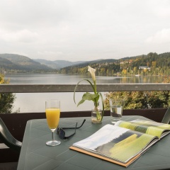 Maritim TitiseeHotel Titisee - Neustadt - Bild 14
