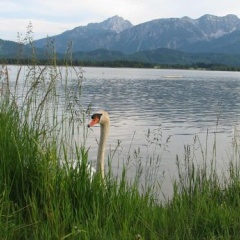 Casa Fuessen - Bild 3