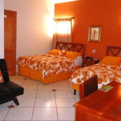 The Green Frog Inn in San Pedro Sula, Honduras from 75$, photos, reviews - zenhotels.com photo 6