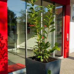 IntercityHotel Darmstadt - Bild 15