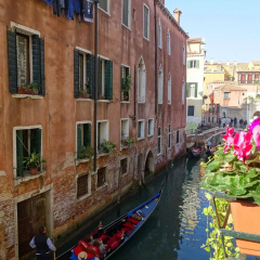 Youth Venice Palace thumbnail 20