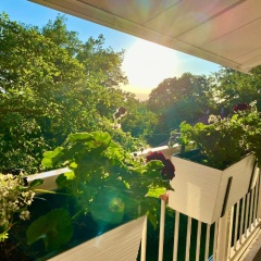 Ferienwohnung Natur und Kunst - Bild 9