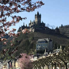 Hotel Germania - Bild 13