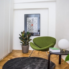 Lazenska N4 - Bild 13