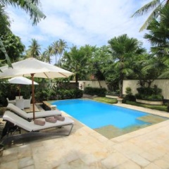Villa Kupu Kupu Lovina - Bild 5