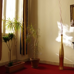 Hotel Savonarola - Bild 16