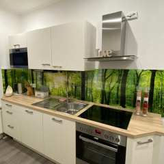 Ferienwohnung Erfurter Rose - Bild 14