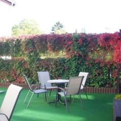 Apartmentpension Am Krongut - Bild 10