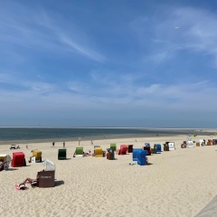Inselperle - Bild 13