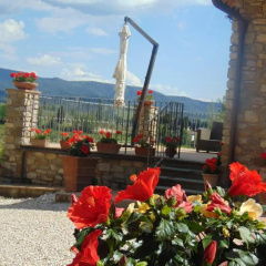 Agriturismo Circugnano thumbnail 3