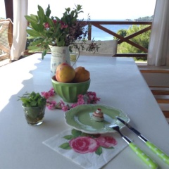 Villa Bouboule thumbnail 11