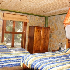 Lazy Lizard Boutique-Hotel - Bild 7